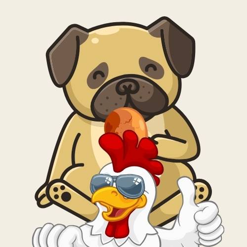 Nutritious Chicken Dog Treats | Buy Premium Chicken Dog Treats