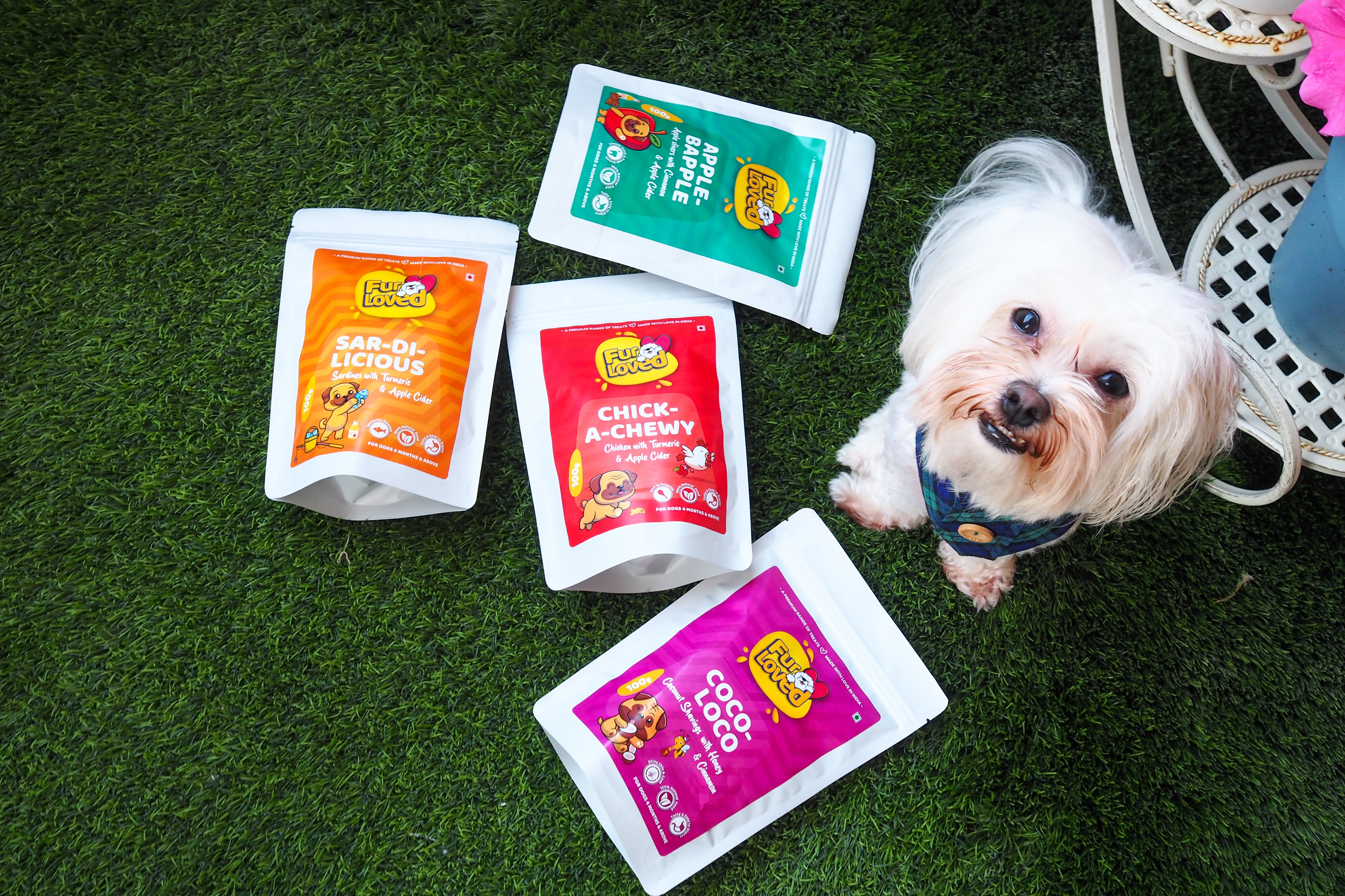 Dog Treats | Shop Healthy and Natural Dog Treats at Furloved