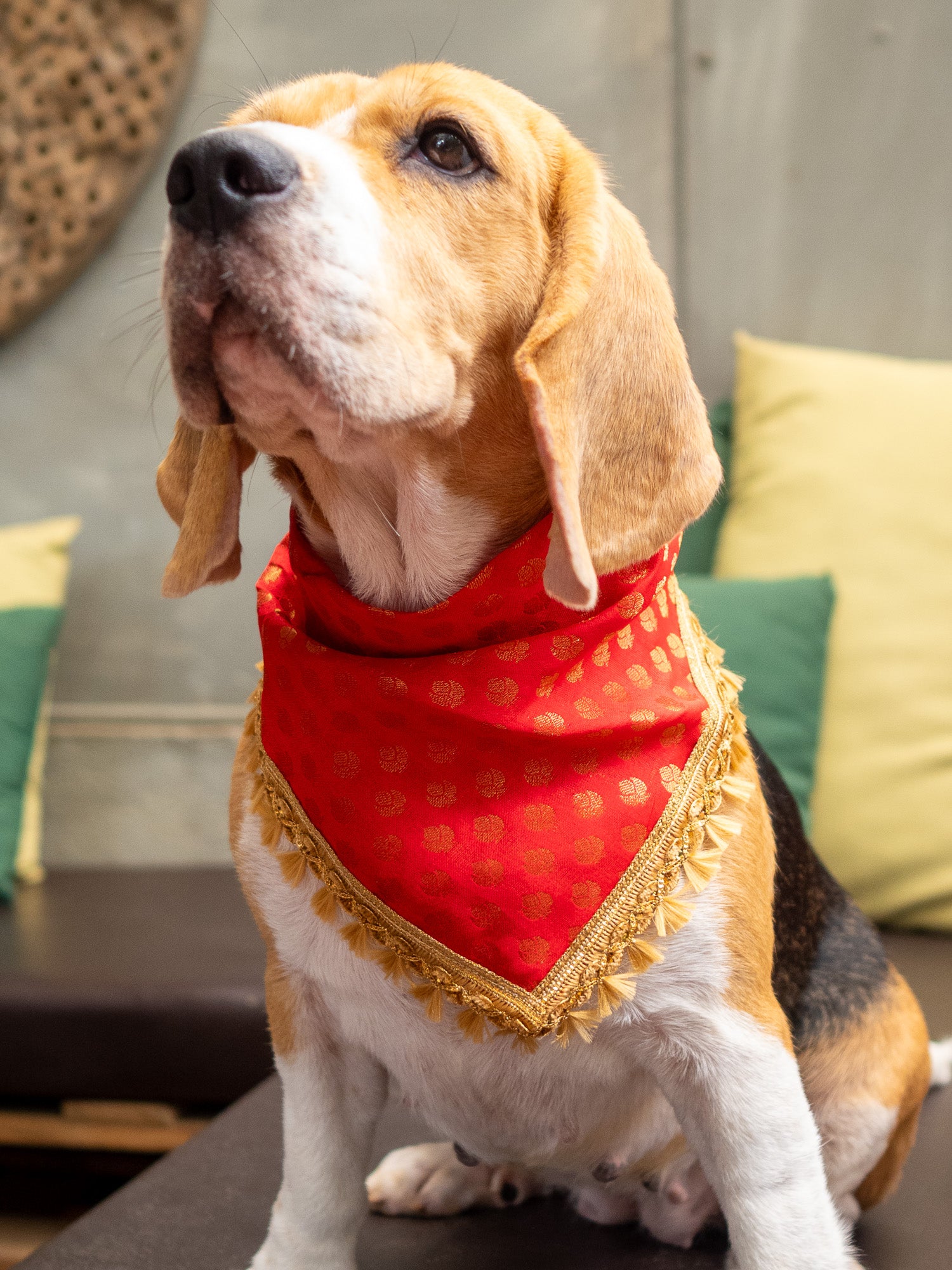 Festive deals dog bandana